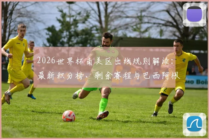 2026世界杯南美区出线规则解读：最新积分榜、剩余赛程与巴西阿根廷前景分析